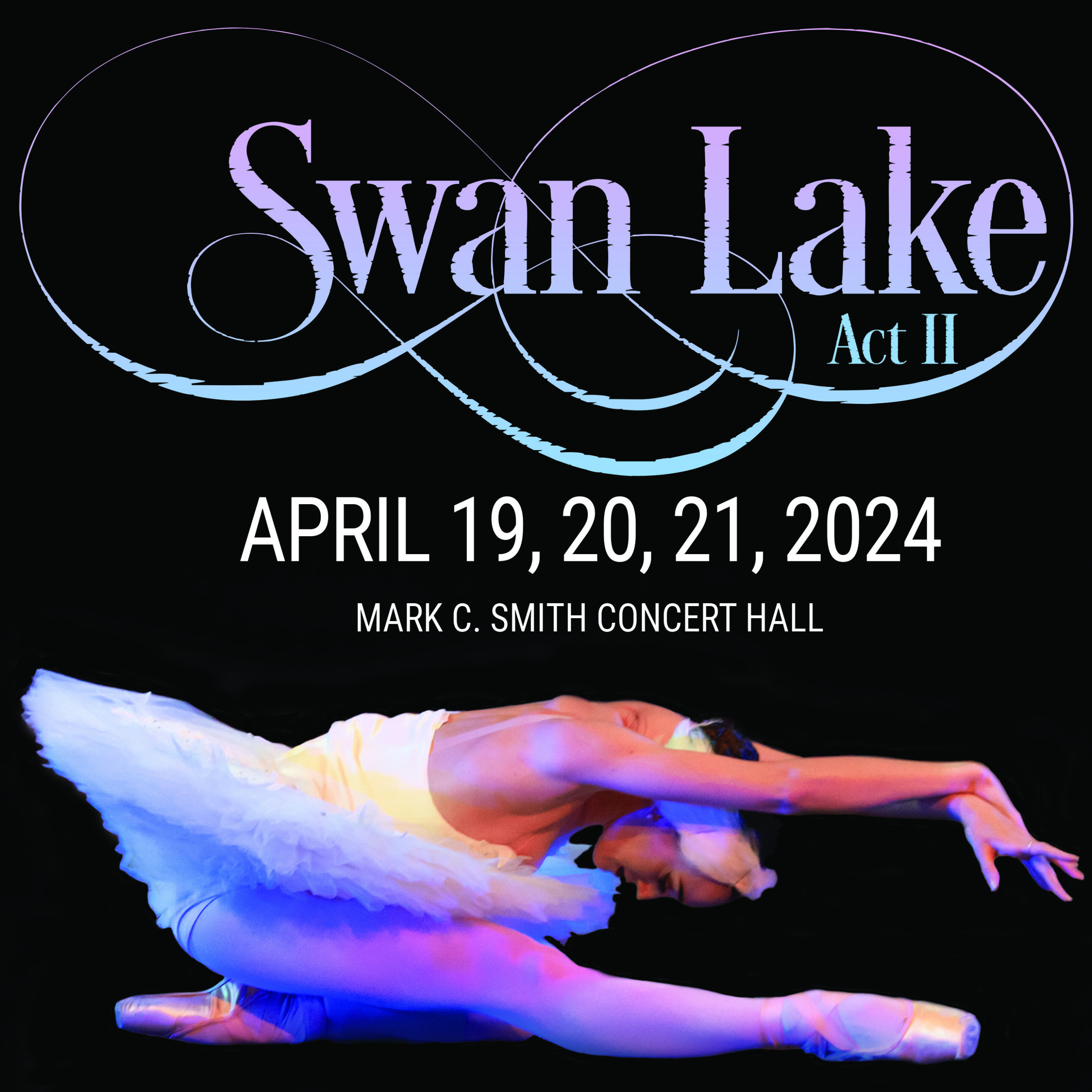 Swan Lake Web graphic copy