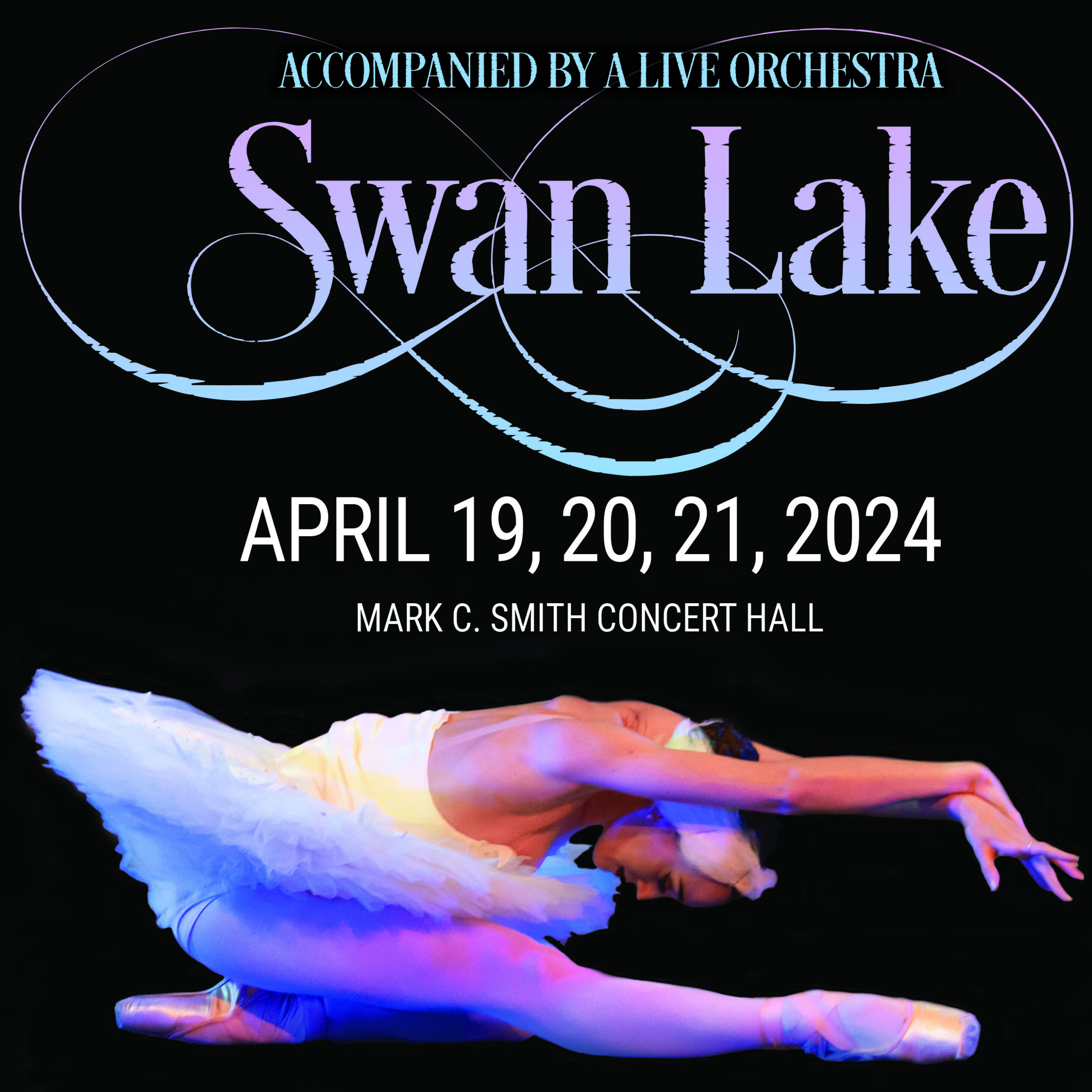 Swan Lake Web graphic copy 2